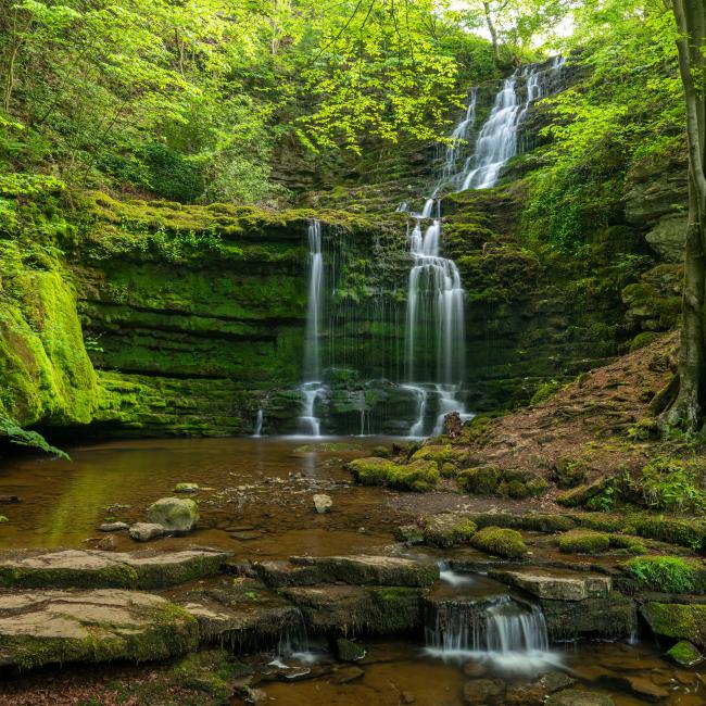 Photography Commission for the Woodland Trust